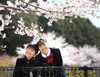 桜ロケは前写しがおススメです！春休み中にぜひ♪「入学記念は当館で素敵な思い出を♪　」