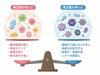 何事もバランスが大切です。「今日は昨日の続きで「腸内細菌が皆さんのダイエットとフィットネスを左右する理由　その２」についてお話させて頂きます。」
