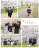 「【江戸川区・市川市】春の桜ロケーションで出張撮影受付スタート」