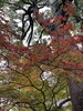「平日なら紅葉が見える特等席も空いているかも🍂✨」