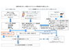 新型コロナウイルスに感染したかもと思ったら「葛飾区内の新型コロナウイルス感染者発生状況【更新日 令和2年7月17日】」