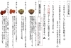 インドカレー ネパール料理 ハモロです