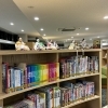 五人囃子と読書を楽しもう♪「【2026年春ひな祭り】海南市でひなめぐり♪ 歴史×アート×街歩きで楽しむ“お雛様時間”」