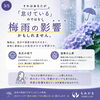 「梅雨の不調は「怠け」ではなく季節のサインかもしれません」