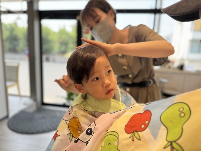 「2歳の男の子　First hair cut」