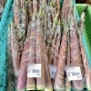 「地元の山菜『淡竹』入荷します！道の駅木曽福島」
