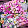 「可愛いフェイク」