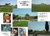 「５月２８日（土）１０時から「新園舎見学会」、３０日「月」１０時からは「さくらんぼクラブ」再開です。」