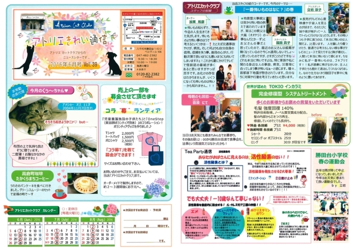 「勝田台の美容院、アトリエカットクラブ情報！！ 2016年6月のきれい通信」