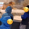 ライオンと一緒に😁「円山動物園（札幌市北区児童デイ　まんまる札幌篠路）」