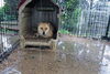 「大雨に注意が必要ですよ！！！」