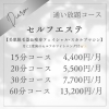 定額制月額プラン15分～
