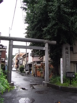 うっかり見落としそうな鳥居です。