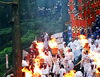 「和歌山の夏祭り♬」