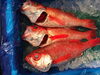 「赤ムツ 房州産」