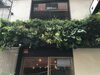 「門前仲町れんず　外壁面のグリーンを夏バージョンに！」