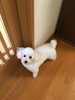 「☆お盆休みのお知らせ☆」