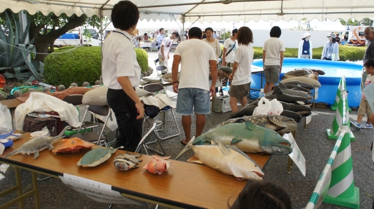 「海フェスタ東三河ライフポート会場（１５：４０）」