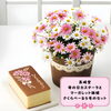 フラワーギフト マーガレット鉢植え Amazon 花のギフト社 マーガレット