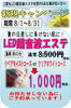 「資生堂 べフィーク LED超音波エステ」