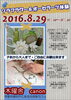「ソラフラワー＆ポーセラーツ体験を。」
