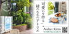 「Kirinの夏休み！」
