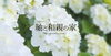 「「9/10.11　西条市氷見にて家展(katen)開催！！」」