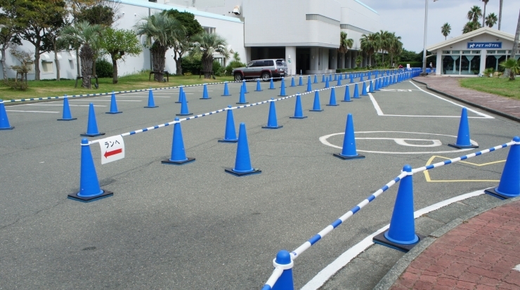 「2016トライアスロン伊良湖大会⑤Aタイプ・バイクのあとはランへ（午前１０時３０分）　」