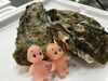「殻付き牡蠣 まるえもん」