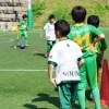千葉市のおすすめサッカースクールまとめ