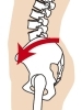 骨盤前傾タイプの図