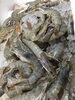 「魚魚市場鮮魚コーナーおすすめは「シマアジ」です♪」