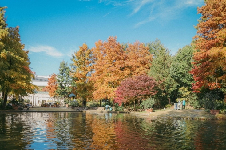 フラリエの紅葉（2021年撮影）「秋のおでかけ特集を公開中！【名古屋市中区の地域密着情報はまいぷれ】」