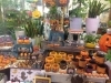「ハロウィン雑貨入荷しました◎」