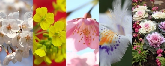 第28回 四季の花咲く 新宿中央公園に行ってみよう 新宿チビたび散歩 しんじゅくノート 新宿区