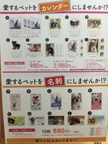 「愛犬カレンダー、名刺お受け致します（＾∇＾）」