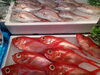 「八千代市、佐倉市の鮮魚店                             魚や山粋」