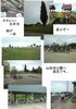 「１０月６日　11時30分～正午　「一日動物園」があります。お願いだから晴れて～ッ。」