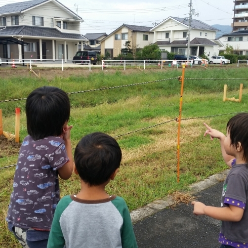 「生き物見つけ名人(^^)」