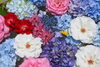 蒸し暑い日も花手水が、一服の清涼感を与えてくれる「今日6月6日（土）から二十四節気9番目の「芒種」（ボウシュ）に入ります。「芒種」の期間は、次の節気「夏至」に入る前日の6月20日（土）までの期間を指します。」