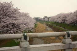 南浅川橋から東方向（下流方向）の景色