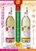 「綾ワイン収穫祭開催＆『宮崎県綾町産ぶどう100％使用綾ワイン』新発売!!」