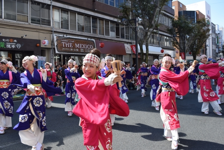 「ええじゃないか豊橋パレカ　よさこい大賞チーム『ほにや』！　～第62回ええじゃないか豊橋まつり～」