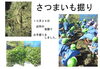 「１０月２６日１１：３０～正午　交野市立地域子育て支援センター主催のイベント「☆こうえんであそぼう！☆」があります。晴れたらいいね。」