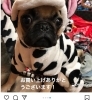 可愛いショットありがとうございます。「初めてのサロン体験♡」