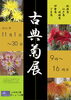 「古典菊展」