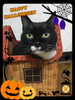 「★HALLOWEEN★」
