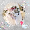 「１１月スタート(੭ु ˃̶͈̀ ω ˂̶͈́)੭ु⁾⁾」