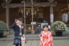 「駒形神社の菊花展開催中です」