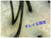 「頭皮診断」